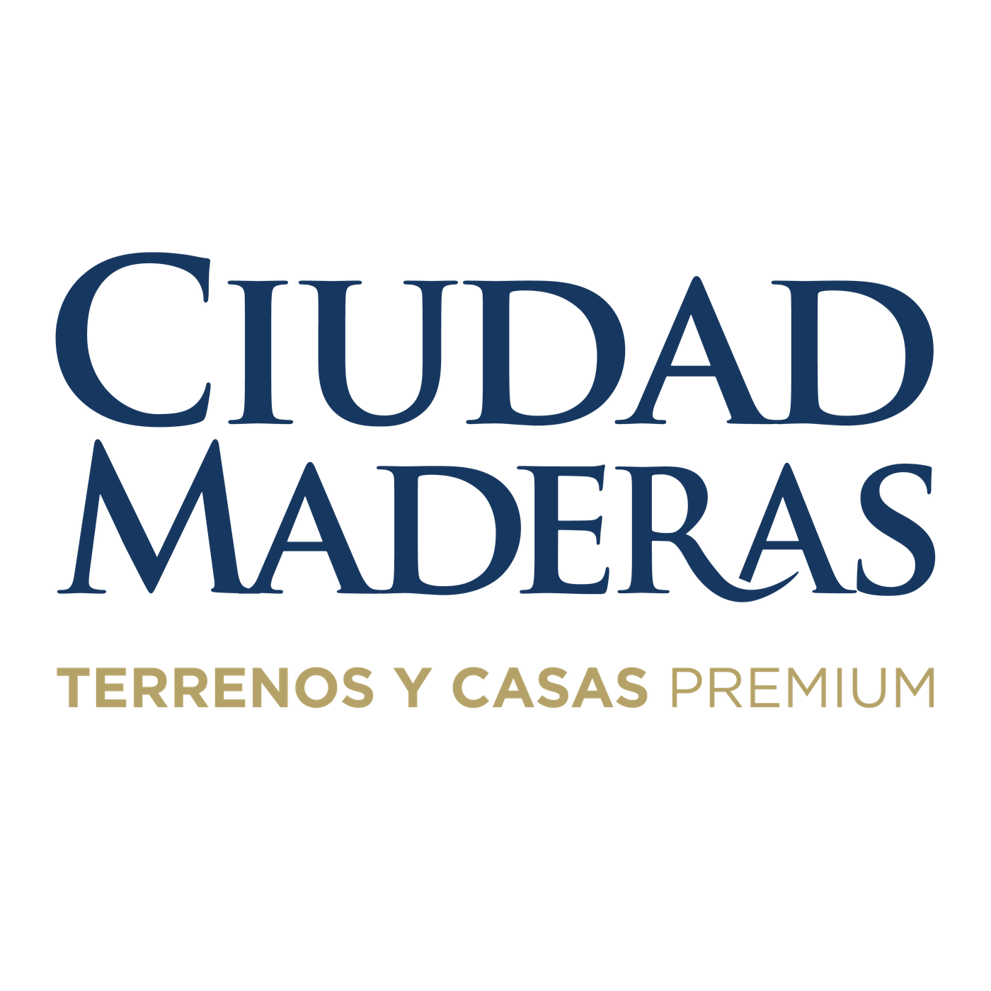 Ciudad Maderas